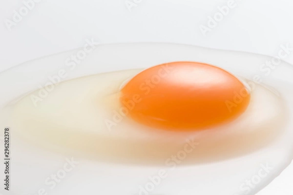 Obraz Egg