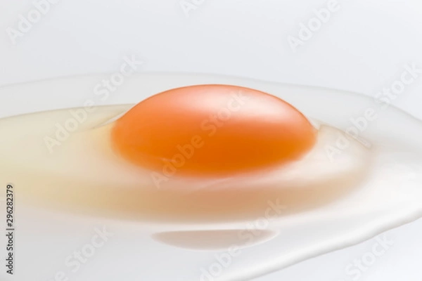 Obraz Egg