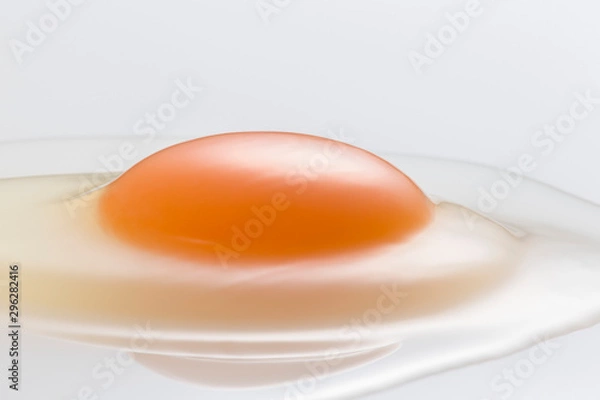Obraz Egg