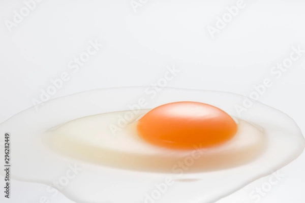 Obraz Egg