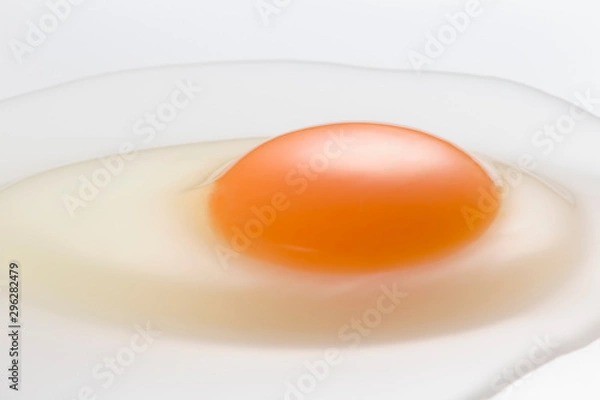 Obraz Egg
