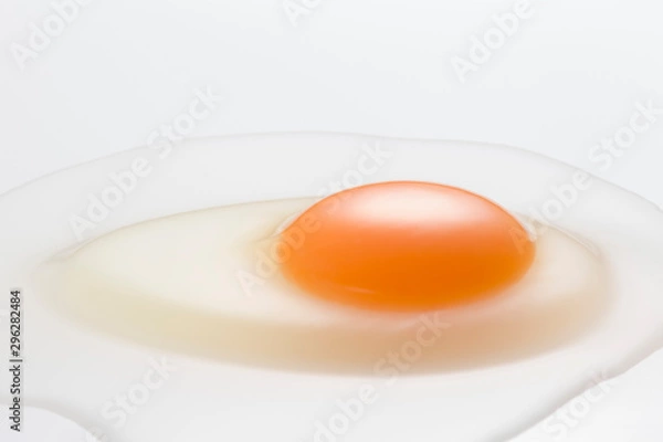 Obraz Egg