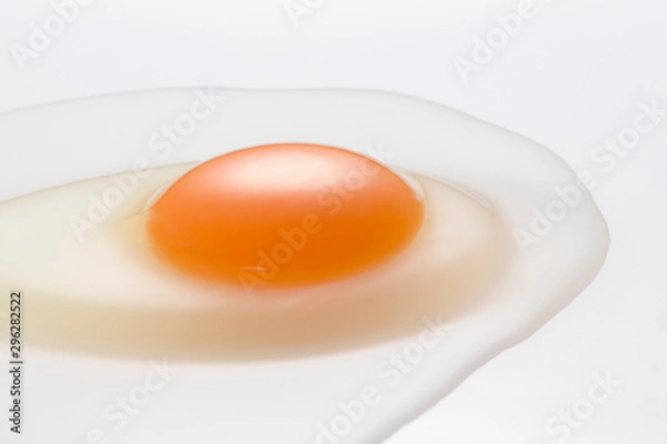 Obraz Egg
