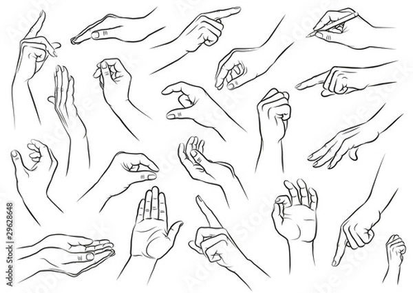 Obraz Ręka, ręce, postawa