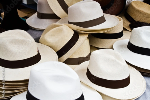 Obraz panama hats