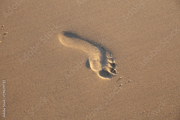 Fototapeta empreinte de pied sur le sable a la plage 