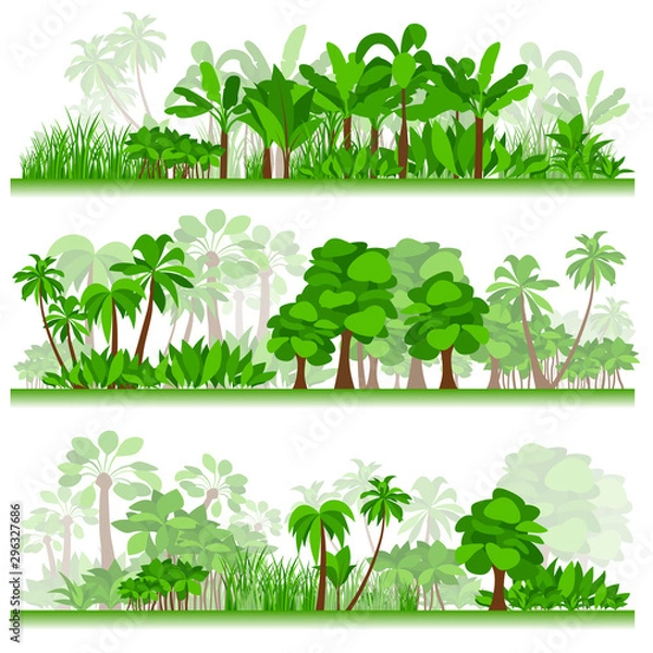 Obraz Tropical forest. Samples 2.	