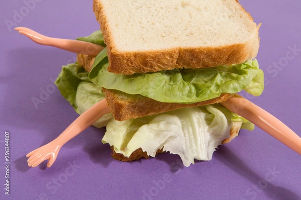 Fototapeta Sandwich doll