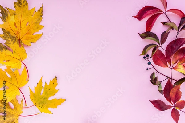 Obraz Autumn composition. yellow and red leaves with berries on a pink background. autumn background. flat lay, top view, copy space