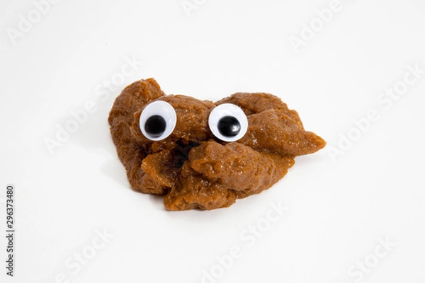 Obraz Pile of Poo