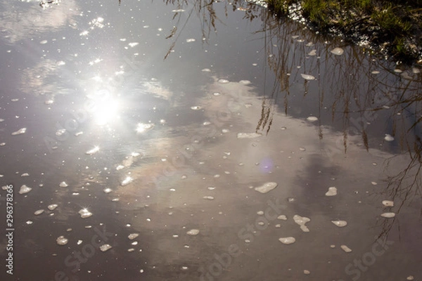 Obraz Sun in the water