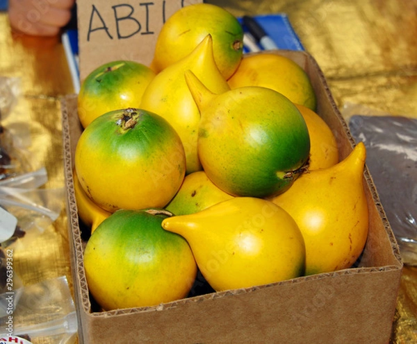 Fototapeta Abiu ripe and delicious