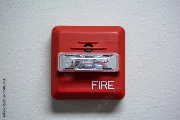 Obraz Fire Alarm
