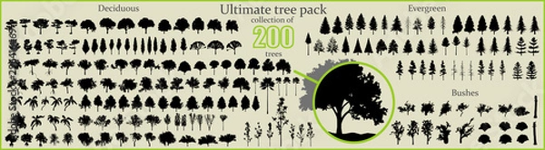Obraz Jeszcze więcej kolekcji Ultimate Tree, 200 szczegółowych, różnych wektorów drzew