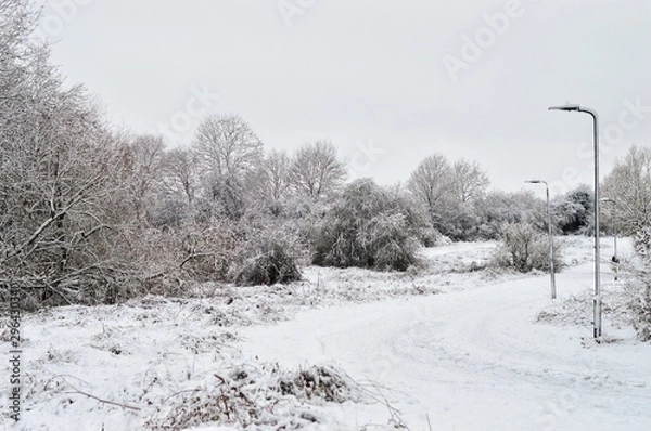 Fototapeta road in winter