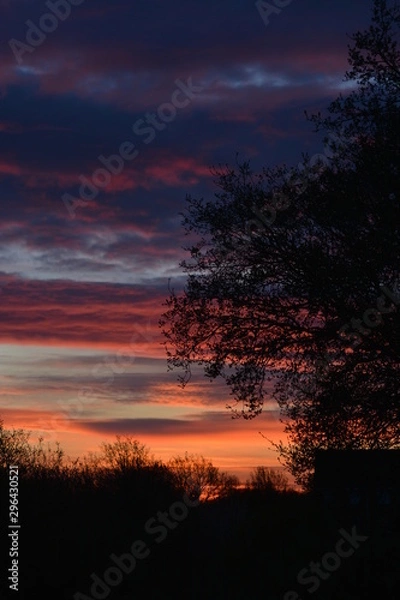 Fototapeta sunset in the sky