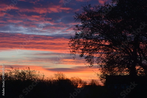 Fototapeta sunset in the sky