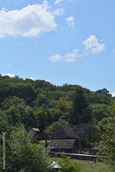 Fototapeta house in the forest
