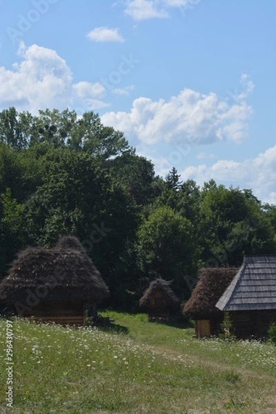 Obraz old house in the forest
