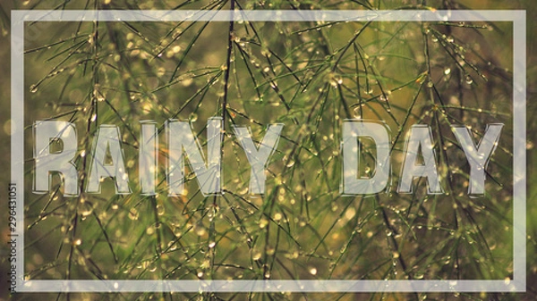 Fototapeta rainy day