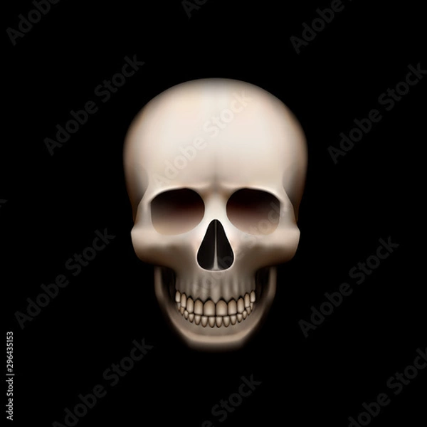 Obraz Human skull isolated on black, color object.
