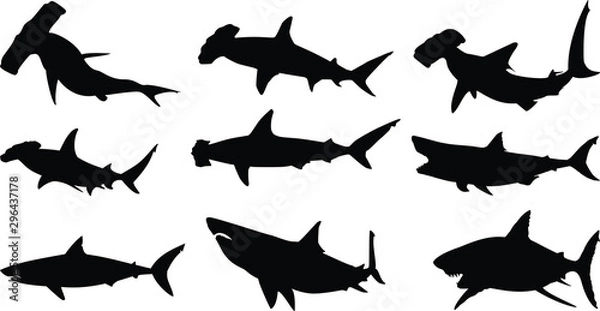 Obraz shark silhouette  vector on white background