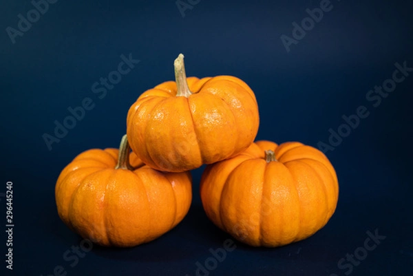 Obraz Calabazas apiladas