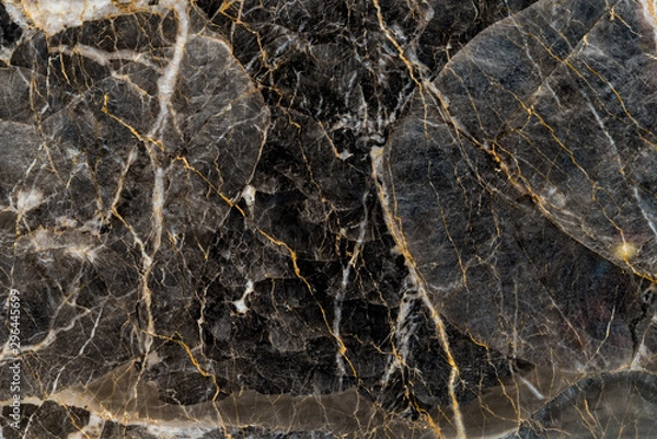 Obraz Black and gold marble texture stone background.