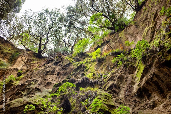 Fototapeta Inside a collapsed sea cave