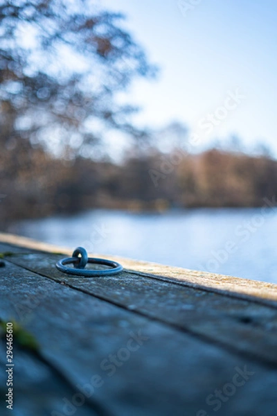 Obraz Macro shot at dock.