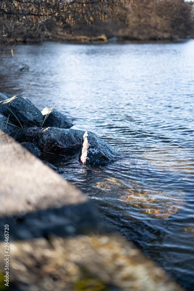 Obraz stones in water.