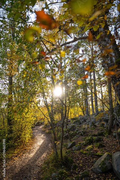 Obraz Reflective sun and fall colors.