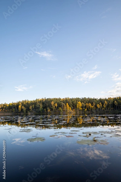 Obraz Reflective scenery during fall.