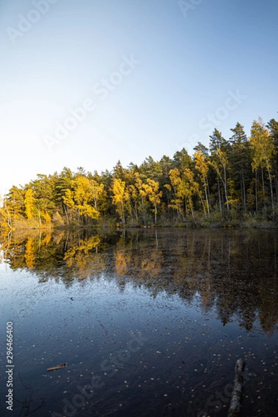 Obraz Reflective scenery during fall.