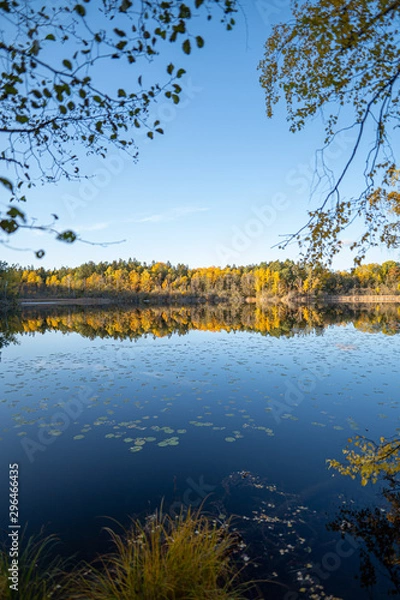 Obraz reflective scenery during fall.