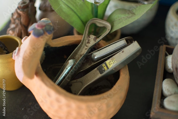 Fototapeta tools in pot