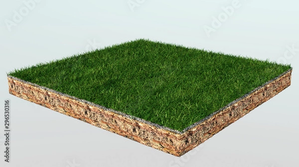 Obraz 3D grass