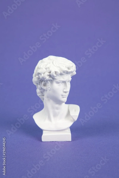 Fototapeta DAvid violet resin