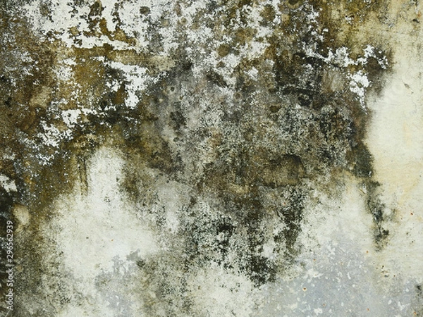 Obraz mold on concrete wall texture