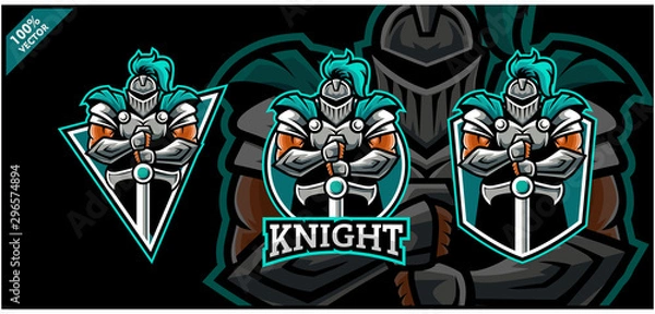 Obraz Vector logo. Knight with sword on three background variation.