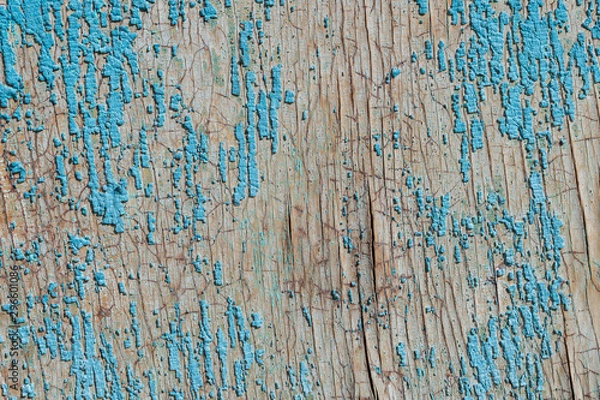 Fototapeta Old and peeling paint Over time, the blue paint peeled off from the old boards and the wood texture cracked. Vintage Abstract Grunge Background