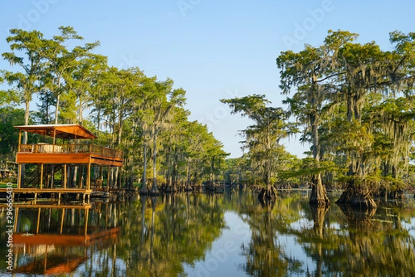 Obraz Structure along the shore of Caddo Lake near Uncertain, Texas