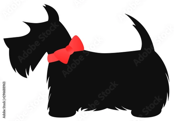 Fototapeta Scottie dog with red bow