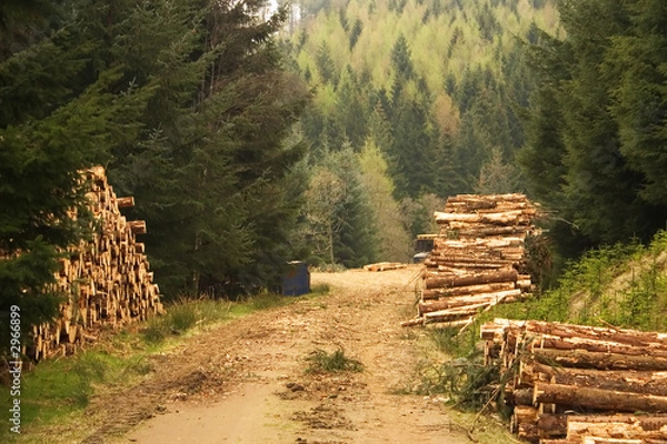 Obraz land management 2