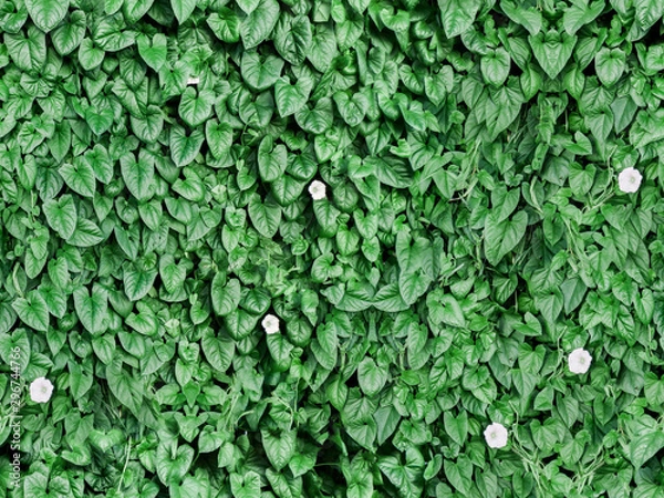 Obraz seamless green leaf wall background with flowers