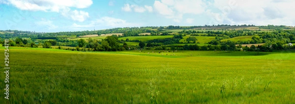 Fototapeta Malowniczy, panoramiczny widok na pofałdowane zielone pola wiejskie z owcami, krowami i zieloną trawą w New Grange w hrabstwie Meath