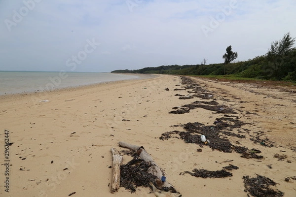 Obraz  トゥマールビーチ