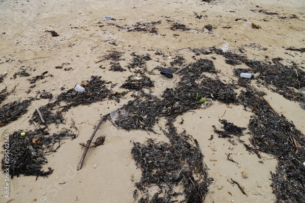 Obraz 漂着ごみ