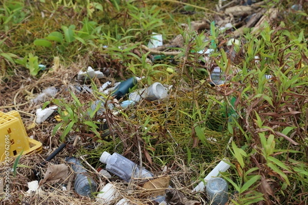 Obraz トゥマールビーチ　海洋ごみ