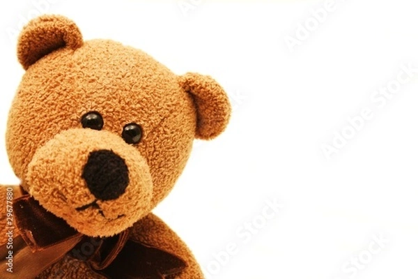 Fototapeta Kuscheltier